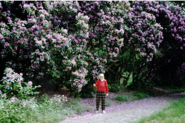 CCF_000055_hasenwinkel_2007