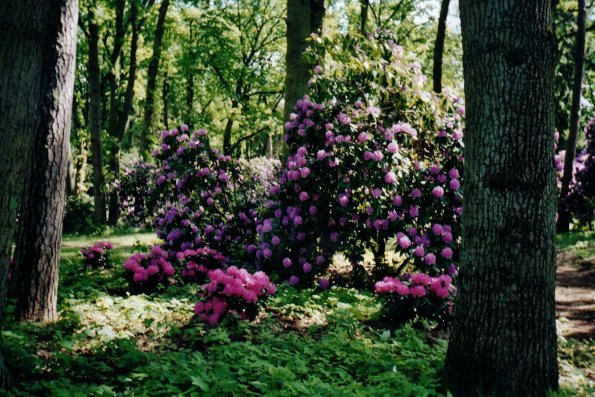 CCF_000056_Hasenwinkel_2006