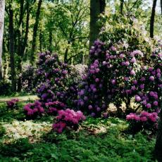 CCF_000056_Hasenwinkel_2006