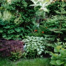 CCF_000365 Omas Garten 2006