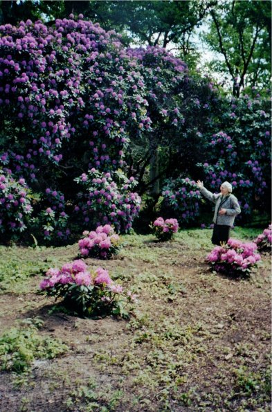 CCF_000048_Hasenwinkel_2006