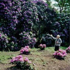 CCF_000048_Hasenwinkel_2006