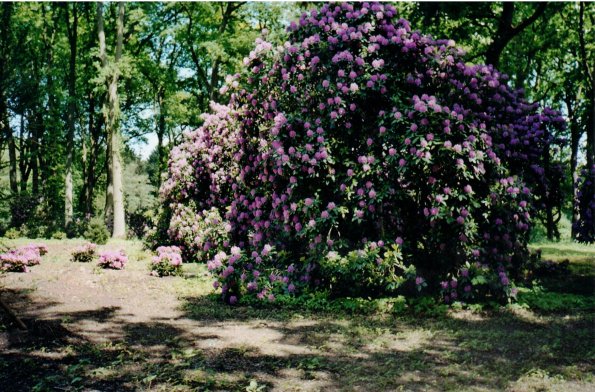 CCF_000050_Hasenwinkel_2006