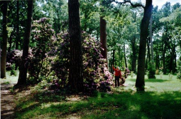 CCF_000052_Hasenwinkel_2007