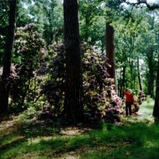 CCF_000052_Hasenwinkel_2007