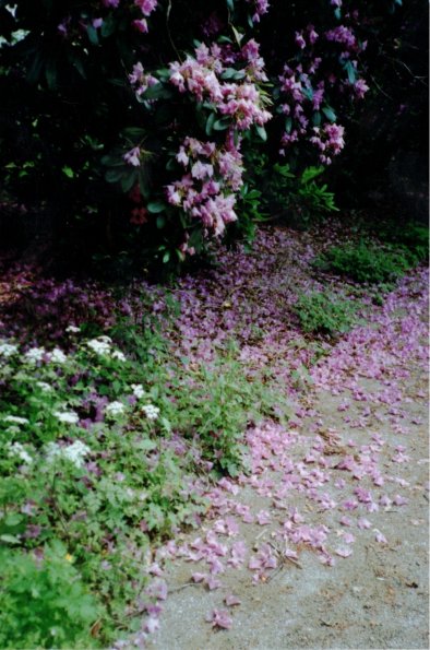 CCF_000053_Hasenwinkel_2007