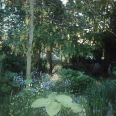 CCF_000366 Omas Garten2006