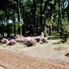 CCF_000371 Hasenwinkel 2006