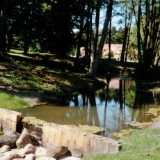 CCF_000373 Hasenwinkel 2006