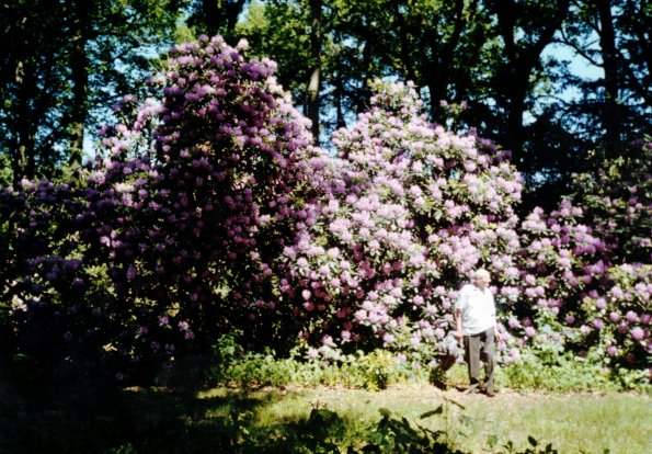 CCF_000374 Hasenwinkel 2006