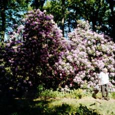 CCF_000374 Hasenwinkel 2006