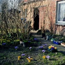 CCF_000168_Lübow2009 Frühjahr