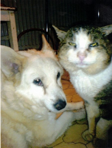 CCF_000260_02052007_OpaGeb