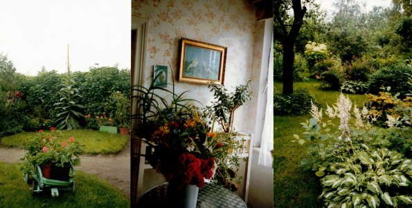 CCF_000377_LübowSommer2008