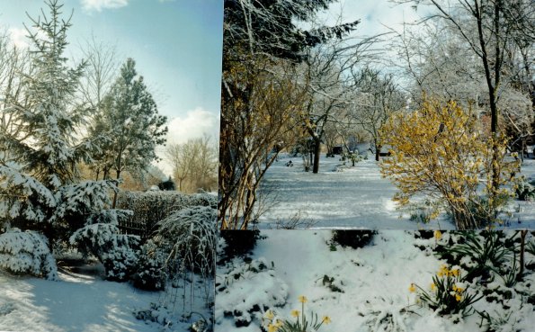 CCF_000384_März_Lübow_2008_02