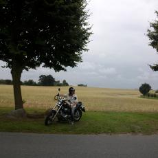 Digital Camera P42001