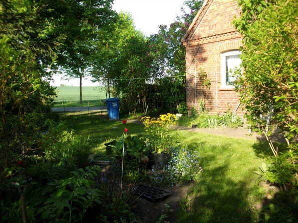 Digital Camera P42001