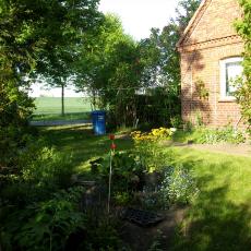 Digital Camera P42001