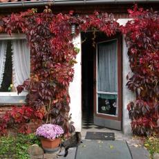 Digital Camera P42001