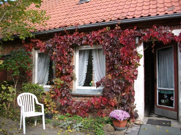 Digital Camera P42001