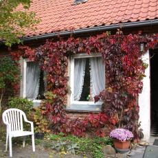 Digital Camera P42001