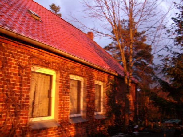 Digital Camera P42001