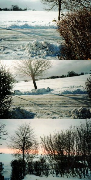 CCF_000359_WinterinLübow2010_2