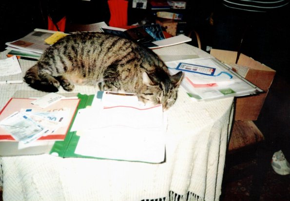 CCF_000360_Winter2010Lübow_03