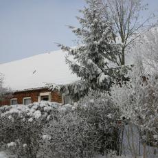 Digital Camera P42001