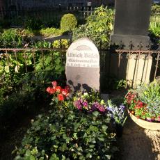 Digital Camera P42001