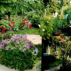 CCF_000375_Sommer_Lübow2011