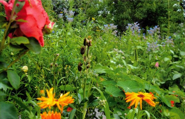 CCF_000376_Sommer_Lübow2011_Cover004