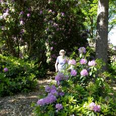 Digital Camera P42001