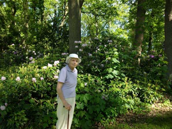 Digital Camera P42001