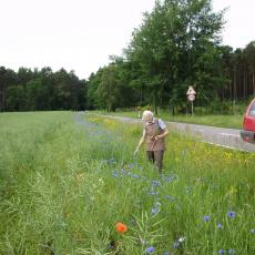 Digital Camera P42001