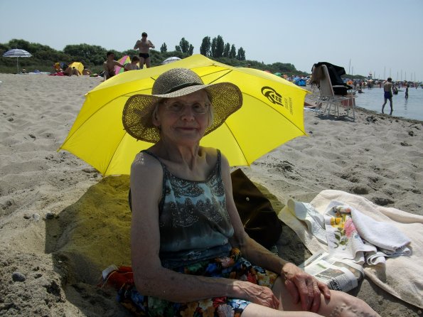 Digital Camera P42001