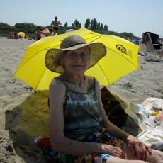 Digital Camera P42001