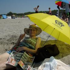 Digital Camera P42001