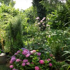 Digital Camera P42001