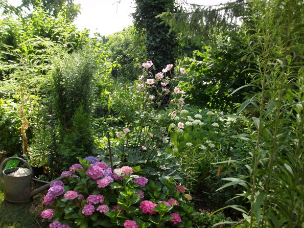 Digital Camera P42001