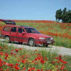 Digital Camera P42001