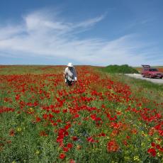 Digital Camera P42001