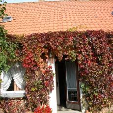 Digital Camera P42001