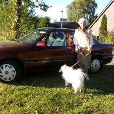 Digital Camera P42001