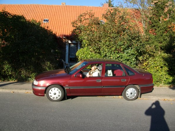 Digital Camera P42001