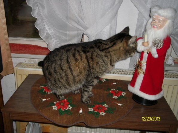 Digital Camera P42001