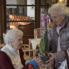 Lotte Bösch 97. Geburtstag 25.3.17 042