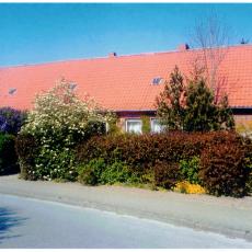 CCF_000248Lübow2007