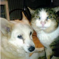 CCF_000260_02052007_OpaGeb