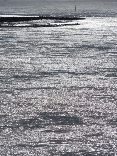 SAMSUNG DIGITAL CAMERA